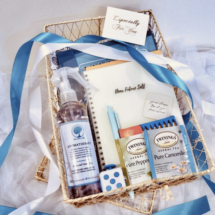 Mental Health SelfCare Package DFS Consulting