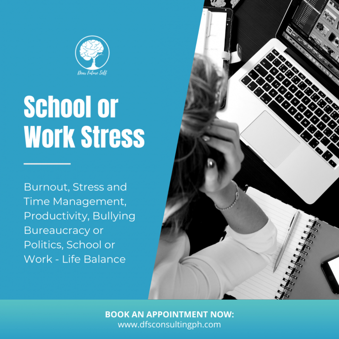 School or Work Stress
