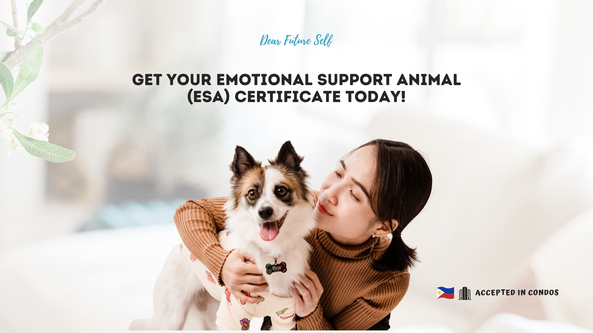 How to Get ESA Certificate in Philippines - DFS Consulting